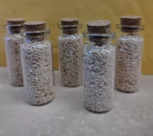 Stern Sand Japan einzigartig 10 Gramm im Glas Fläschchen Korken Stopfen - SOFORT VERKAUF - Bild 1 von 4