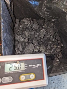 Screened Anthracite NUT Coal Blacksmithing Geological Teacher Sample 25Lbs - Picture 1 of 4