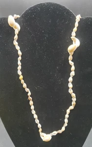 Vintage Small Sea Shell 39 Inch Necklace - Picture 1 of 3