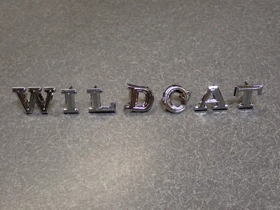 Buick Wildcat 1966 letras de maletero "WILDCAT" tapa trasera emblema logotipo 66 NUEVO Foto 1 de 4