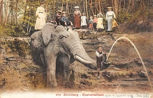CPA SUISSE ZURICHBERG ELEPHANTENBACH - Picture 1 of 1