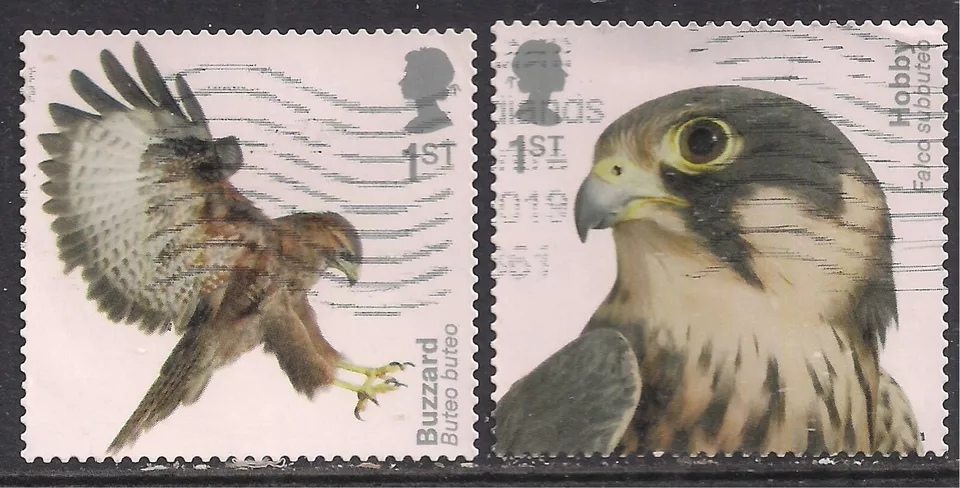 GB 2019 QE2 1st x 2 Birds of Prey Hobby & Buzzard S / A SG 4210 /1 CV £30 ( C130 - Image 1 of 1