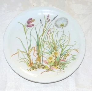 Plato de cena de almuerzo Pillivuyt Virginie Molling 9,1/2 pulgadas - Excelente - Imagen 1 de 4