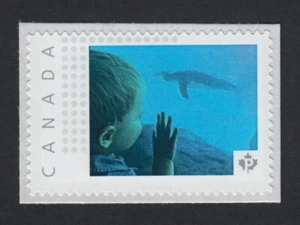 JUNGE auf AQUARIUM AUSSTELLUNG = Bild Briefmarke postfrisch Kanada 2015 [p15-09-sn6] - Bild 1 von 1