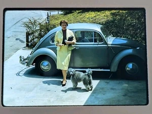 Vintage Kodachrome Slide – Woman with Poodle & 1950s Volkswagen Beetle,... - Picture 1 of 3