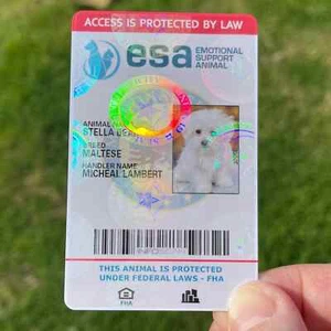 ESA ID CARD FOR EMOTIONAL SUPPORT DOG + ONLINE REGISTRATION HOLOGRAPHIC - Picture 1 of 7
