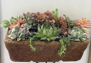 Hypertufa Windowsill Planter Succulent Flower Pot  Rectangular Trough Handmade - Picture 1 of 14
