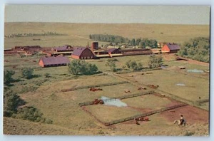 Postal de Cheyenne Wyoming c1950 WHR sede de Hereford rebaño vaca granja vista - Imagen 1 de 2