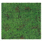 Simulation Moos Rasen Teppich Künstlich Künstliche Gräser Falsches Gras