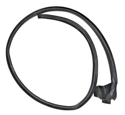 Tira de clima puerta inferior a carrocería Ford Mustang 10-14 OEM DIESTRO pasajero Foto 1 de 4