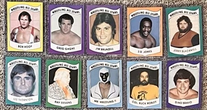 1982 WRESTLING ALL STARS SERIES B PARTIAL SET OF 10 ROOKIE CARDS PWE CARD LOT - Picture 1 of 2