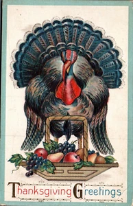 POSTKARTE THANKSGIVING GEPRÄGT TÜRKEI BLÄULICHE SCHWANZFEDERN - Bild 1 von 2
