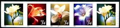 Four Flowers 34c Type PNC5 PL B1111 MNH Scott's 3478 3479 3480 & 3481          ~ - Image 1 of 2