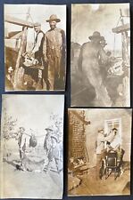 4 snapshots of cowboys trimming horns on cattle Bell Ranch, New Mexico 1903