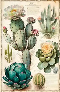 Vintage Cactus & Succulente Effimera Collage #6 Blocco Tessuto Cotone Cucito Artigianale - Foto 1 di 1