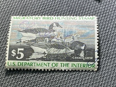 US Federal Duck Stamp Scott # RW43 Used Canada Geese c.1976 Full Gum - Image 1 of 2