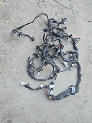 Toyota Tacoma 2014 - 4x4 - 4,0 - arnés de cableado del motor telar Foto 1 de 4