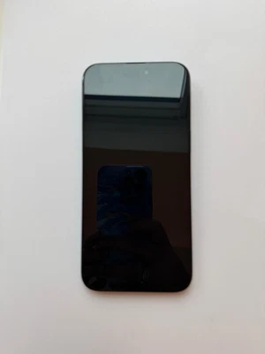 iPhone 15 Pro Max 256GB Titan Schwarz - Bild 1 von 4
