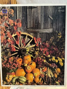 1000 Piece Jigsaw Puzzle - Whitman - Fall Autumn Pumpkins - Vintage New Sealed - Picture 1 of 8