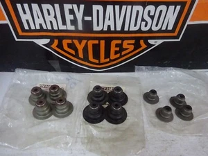 Harley Davidson Twin Cam Choice of 3 Different Rpl Valve Stem Seals 4 Pack - Picture 1 of 14