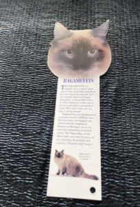 Marcador temático de gato Ragamuffin gato libro amantes hechos fotos información muñeca de trapo 10" - Imagen 1 de 2