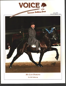 Voice Of The Tennessee Walking Horse Mag JUN 1993-MY LADY DARLING-BLACK RAIN - Picture 1 of 2