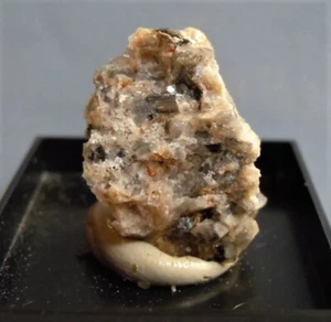 VONSENITA (VON1) mineral raro de Italia (en caja de acrílico transparente) - Imagen 1 de 9