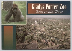 TX Brownsville, Gladys Porter Zoo Vista Aérea, Inserto de Gorila, Cromo Unp 6 x 4 - Imagen 1 de 2