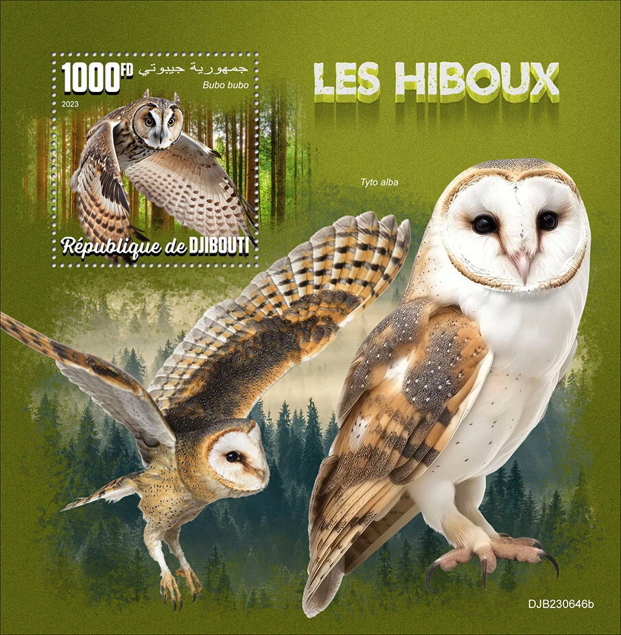 Estampillas de búhos MNH 2023 Djibouti S/S Foto 1 de 1