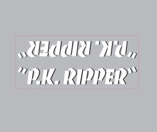 SE Racing - P.K. Calcomanía de tubo descendente Ripper - blanco con sombra negra Foto 1 de 1