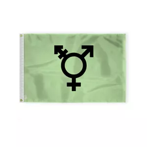 Israel Trans Flag-Single Sided Printed-Brass Grommets- Fade Proof Colors - Picture 1 of 15