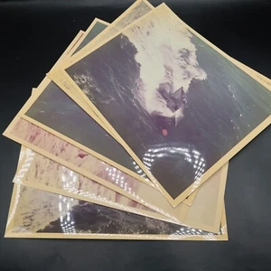 USS Finback (SSN-670) Photographs Set of 6 8x10 Submarine Militaria Vintage - Picture 1 of 7