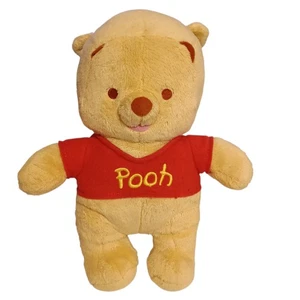 Fisher Price WINNIE THE POOH Sonajero Bebé 29 cm Disney Peluche Juguete Suave Lovey Sleep - Imagen 1 de 13