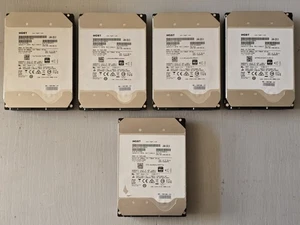 HGST 10TB SAS 7.2k HDD 12gb/sec Very Clean 5 Pack - Picture 1 of 12