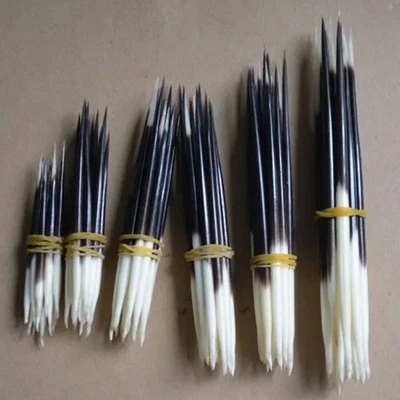 10pcs Porcupine Quills Hair Stick Weaving Beading Jewelry Craft DIY Fish Float - Image 1 of 4