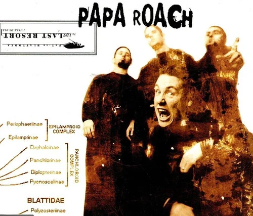 Last Resort - Bild 1 von 1