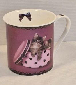 Kittens In  Pink Polkadot Box Coffee Tea Mug Cup 300ml Unity Gifts Bone China - Picture 1 of 6