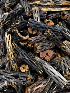 5 Lbs Cholla Wood | Aquarium | Terrarium | Crafts | Woodwork | Art - Picture 1 of 4