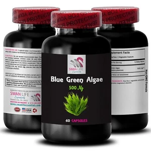 Spirulina Azul Verde - ALGAS VERDES AZULES - Soporte Eléctrico de Algas 1 Botella 60 Cápsulas - Imagen 1 de 7
