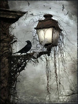 Bird on a Lantern Arthur Rackham Painting Print Poster Wall Art Picture A4 + - Image 1 of 2