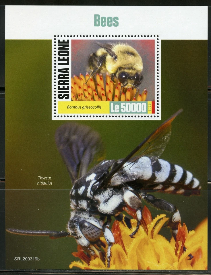 Sierra Leone 2020 Api Souvenir Foglio come Nuovo Nh - Immagine 1 di 1