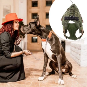 Gilet Gilet per Animali Domestici Esterno Grande Imbracatura per Cani Gilet da Lavoro Cane - Foto 1 di 12