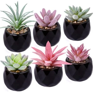 Artificial Mini Succulents 6 Packs Faux Succulents in Ceramic Pots Fake Green... - Picture 1 of 7