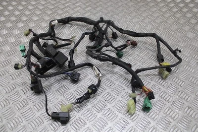 Arnés telar cableado Suzuki DL 650 V Strom 2004 - 2006 Foto 1 de 4