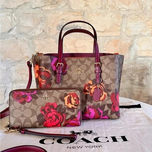 Borsa a tracolla Coach Mollie 25 firmata floreale tote bag tracolla portafoglio lungo nuova con etichette