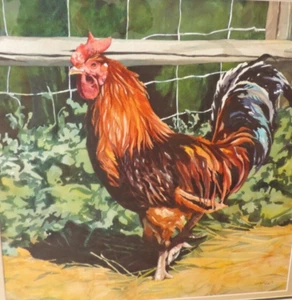 original MARI ANNE FIGGINS ROOSTER WATERCOLOR (FRAMED) - Bild 1 von 5