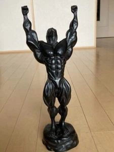 Statua corpo muscolare, macho, per frequentatori Gold's Gym, un ottimo compagno per muscoli tr - Foto 1 di 6