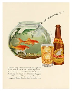 White Rock Poster Vintage Mineral Water Ad Goldfish - 12X16/16X20/18X24/24X36 - Picture 1 of 11