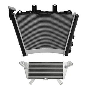 Radiator & Oil Cooler Fit For BMW S1000RR 2019-25 M1000RR 21-2025 S1000R 2021-25 - Picture 1 of 11