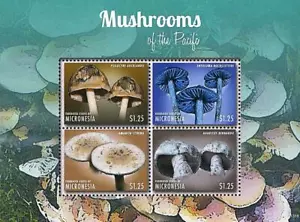 MICRONESIA 2013 MUSHROOMS M/S MNH PLANTS - Picture 1 of 1